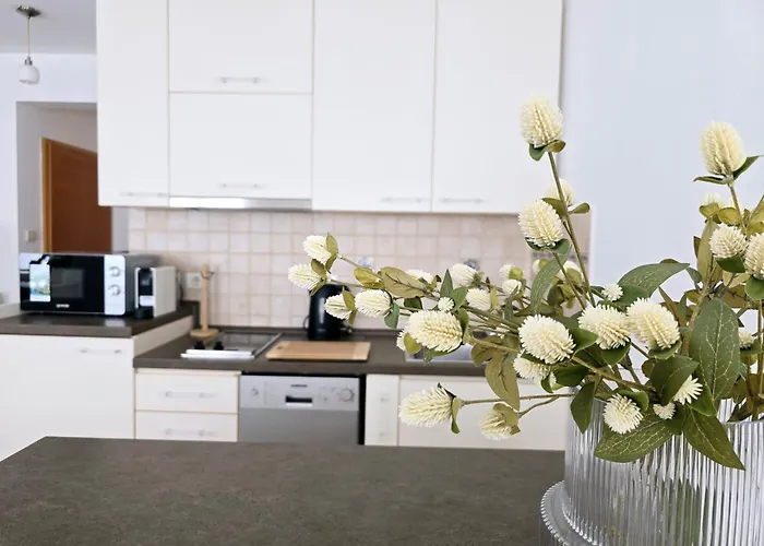 Scala 8 * Опатия